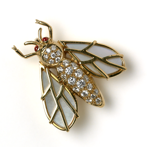 Bee with mother of pearl wings