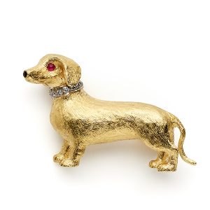 Dachshund with diamond collar