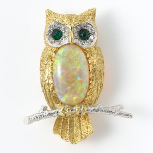 Owl on branch