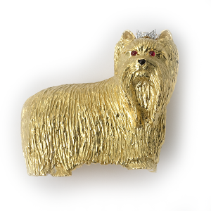 Yorkshire terrier in gold